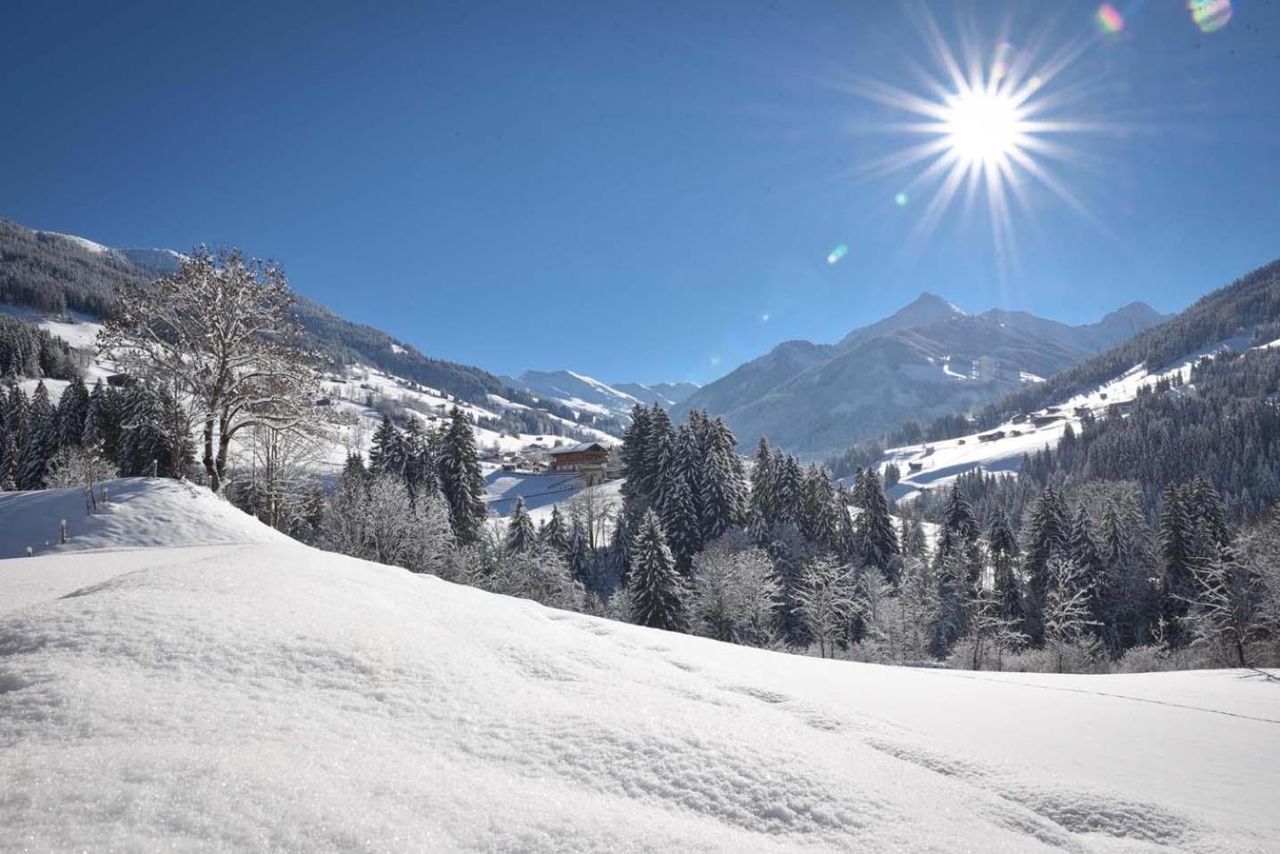 Alpapart Schneider Alpbach Exteriör bild
